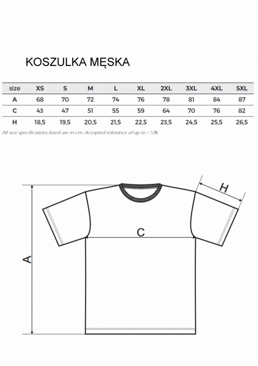 KOSZULKA MĘSKA - ROZMIARY.jpg