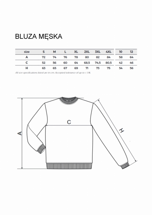 BLUZA MĘSKA - ROZMIARY (1).jpg