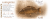 LOGO 03.png